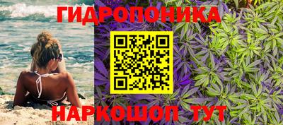 амф Будённовск