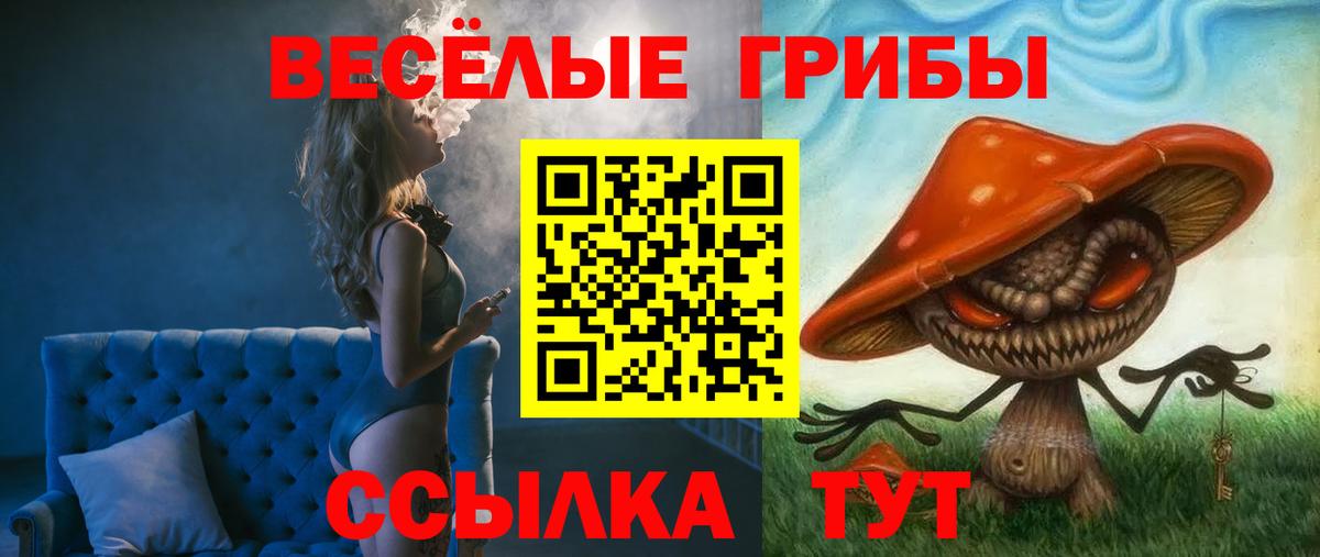 Псилоцибиновые грибы Psilocybe  Вход с VPN  Шелехов 